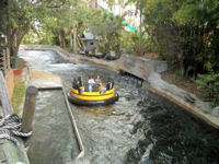 Busch Gardens Tampa Bay - Congo River Rapids