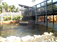 Busch Gardens Tampa Bay - Tanganyika Tidal Wave