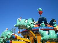 Walt Disney World's Animal Kingdom - TriceraTop Spin
